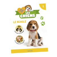 N1 : Fascicule et peluche Beagle
