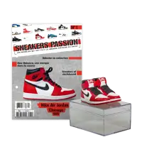 Le N°1 : Les miniatures Nike Air Jordan 1 + les fiches