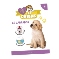N°4 : Fascicule et peluche Labrador OFFERT
