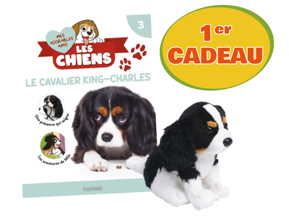 Un numéro gratuit Mes adorables amis les chiens