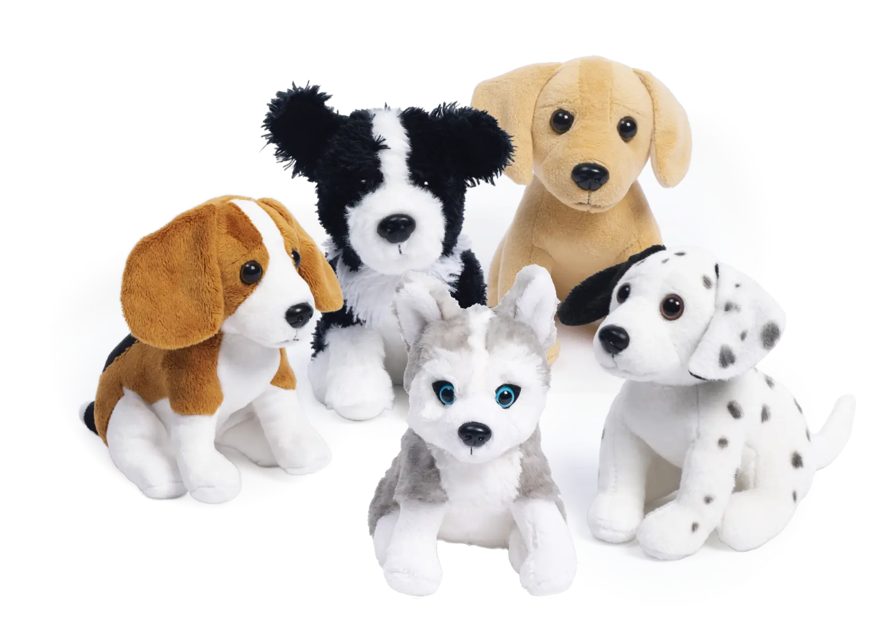 Les chiots les plus aimés des petits et des grands à collectionner