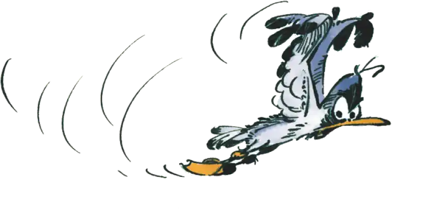 La mouette